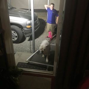 Meet your Posher, Gavin